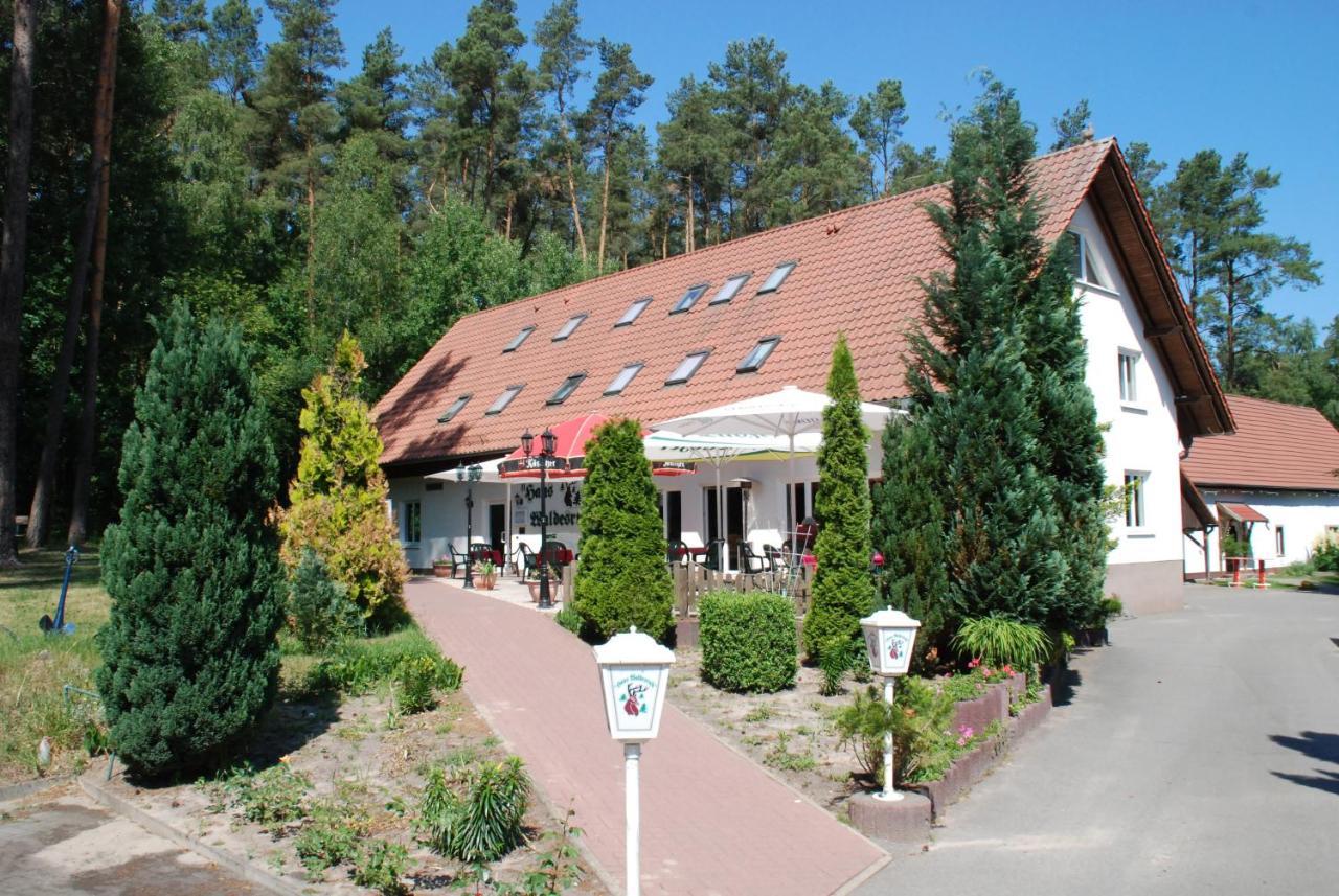 Hotel Haus Waldesruh Petersdorf  Exteriér fotografie